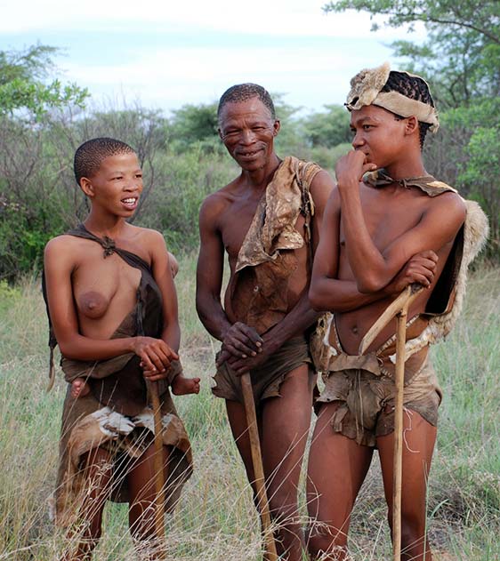 Bushman